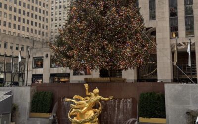 Merry Christmas and a Happy New Year 2026